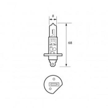 Bulb 12V 55W H1 UV HALOGEN  Pk1