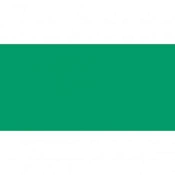 Unterteil für grüne Kontrollleuchte, ohne Symbol, 1 Stk.